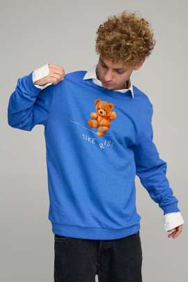 Світшот чоловічий OVERSIZE /no flis/