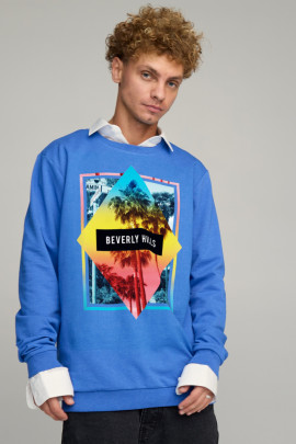 Світшот чоловічий OVERSIZE /no flis/