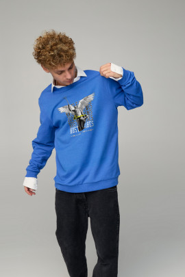 Світшот чоловічий OVERSIZE /no flis/