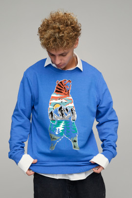 Світшот чоловічий OVERSIZE /no flis/