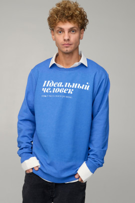 Світшот чоловічий OVERSIZE /no flis/