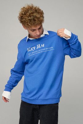 Світшот чоловічий OVERSIZE /no flis/