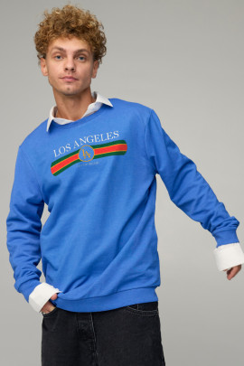 Світшот чоловічий OVERSIZE /no flis/