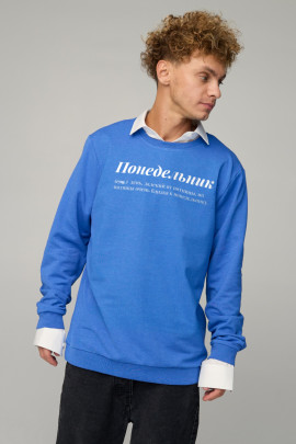 Світшот чоловічий OVERSIZE /no flis/