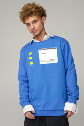 Світшот чоловічий OVERSIZE /no flis/