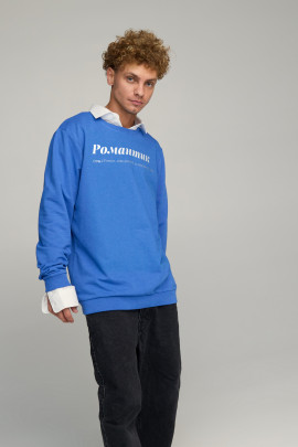 Світшот чоловічий OVERSIZE /no flis/