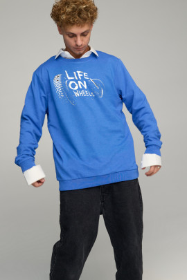 Світшот чоловічий OVERSIZE /no flis/