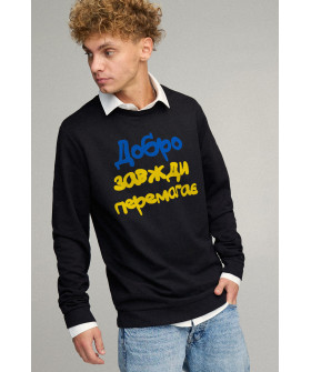 Світшот чоловічий OVERSIZE /no flis/