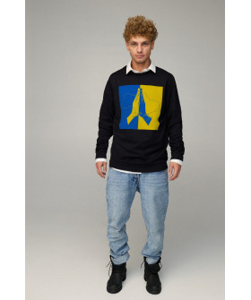 Світшот чоловічий OVERSIZE /no flis/