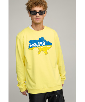 Світшот чоловічий OVERSIZE /no flis/