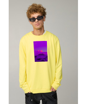 Світшот чоловічий OVERSIZE /no flis/