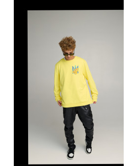 Світшот чоловічий OVERSIZE /no flis/