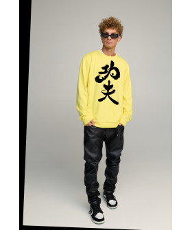 Світшот чоловічий OVERSIZE /no flis/