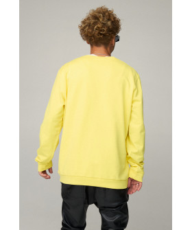 Світшот чоловічий OVERSIZE /no flis/