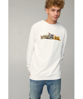 Світшот чоловічий OVERSIZE /no flis/