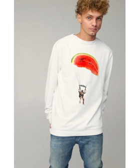 Світшот чоловічий OVERSIZE /no flis/