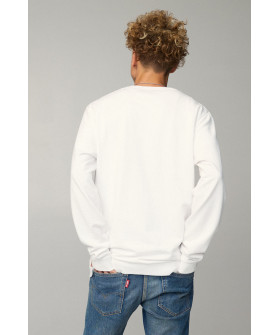 Світшот чоловічий OVERSIZE /no flis/