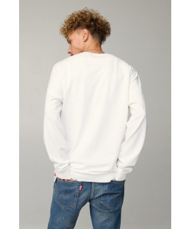 Світшот чоловічий OVERSIZE /no flis/
