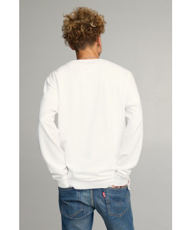 Світшот чоловічий OVERSIZE /no flis/