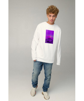 Світшот чоловічий OVERSIZE /no flis/