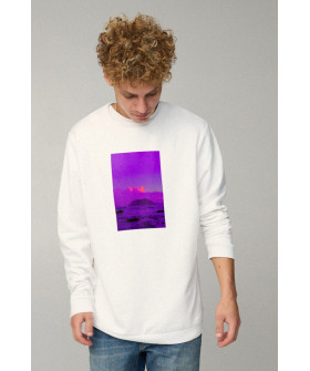 Світшот чоловічий OVERSIZE /no flis/