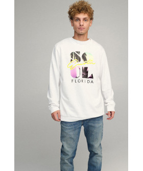 Світшот чоловічий OVERSIZE /no flis/