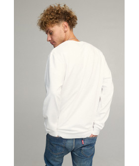 Світшот чоловічий OVERSIZE /no flis/