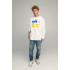 Світшот чоловічий OVERSIZE /no flis/