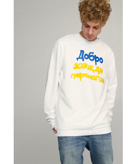 Світшот чоловічий OVERSIZE /no flis/
