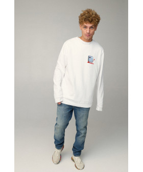 Світшот чоловічий OVERSIZE /no flis/