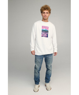 Світшот чоловічий OVERSIZE /no flis/
