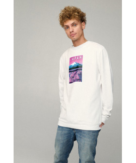 Світшот чоловічий OVERSIZE /no flis/