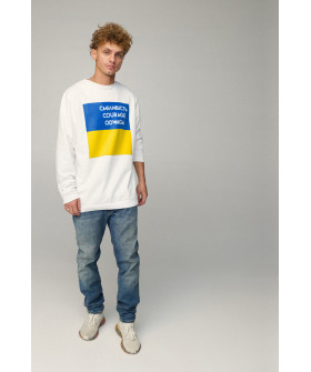 Світшот чоловічий OVERSIZE /no flis/