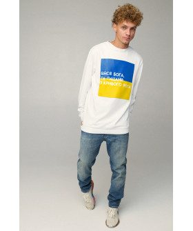 Світшот чоловічий OVERSIZE /no flis/
