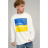 Світшот чоловічий OVERSIZE /no flis/