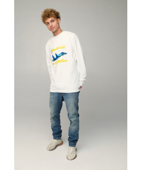 Світшот чоловічий OVERSIZE /no flis/