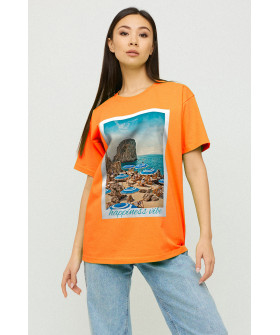 Футболка Oversize / air print /
