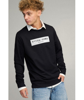 Світшот чоловічий OVERSIZE /no flis/