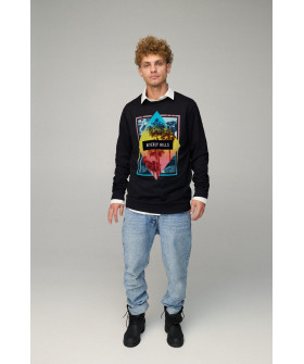 Світшот чоловічий OVERSIZE /no flis/