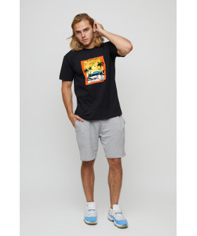 Футболка чоловіча basic /air print/