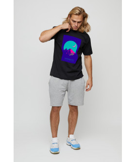 Футболка чоловіча basic /air print/