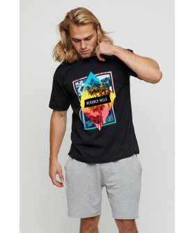 Футболка чоловіча basic /air print/