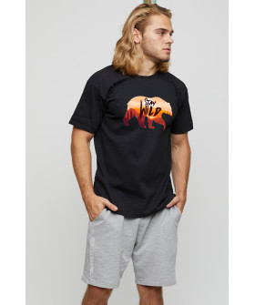 Футболка чоловіча basic /air print/