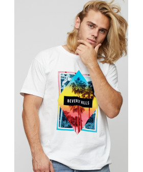 Футболка чоловіча basic /air print/