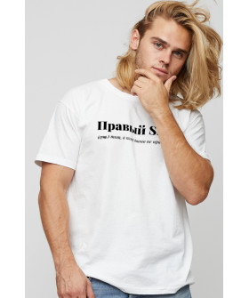 Футболка чоловіча basic /air print/