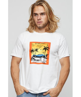 Футболка чоловіча basic /air print/