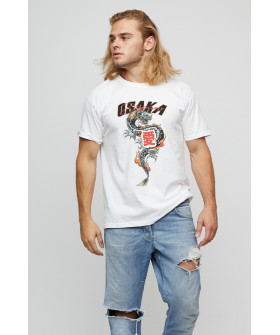 Футболка чоловіча basic /air print/