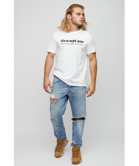 Футболка чоловіча basic /air print/