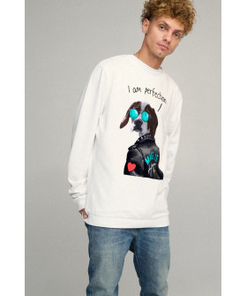 Світшот чоловічий OVERSIZE /no flis/