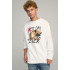 Світшот чоловічий OVERSIZE /no flis/